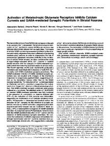 Activation of Metabotropic Glutamate Receptors Inhibits Calcium ...