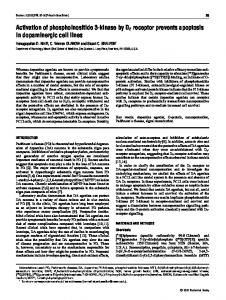 Activation of phosphoinositide 3-kinase by D2 receptor ... - Europe PMC