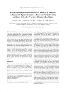 Activation of the mitochondria-driven pathway of apoptosis in human ...