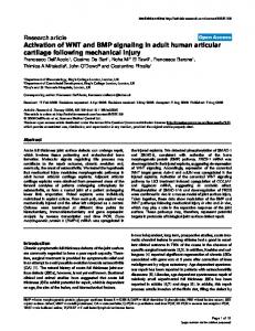 Activation of WNT and BMP signaling in adult human articular