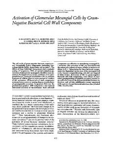 Activation ofGlomerularMesangial Cells by Gram - NCBI