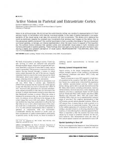 Active Vision in Parietal and Extrastriate Cortex - CiteSeerX