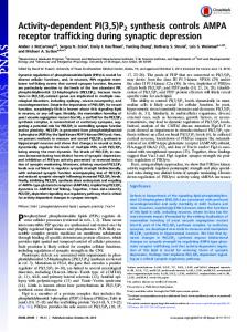 Activity-dependent PI(3,5)P2 synthesis controls AMPA receptor ...