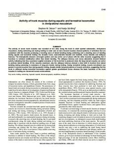 Activity of trunk muscles during aquatic and terrestrial locomotion in ...