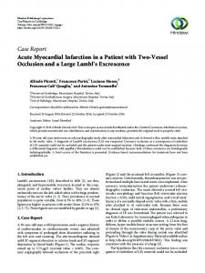 Acute Myocardial Infarction in a Patient with Two-Vessel Occlusion ...