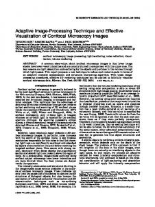 Adaptive image-processing technique and effective visualization of ...