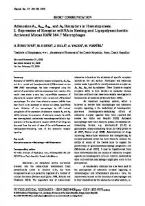 Adenosine A1, A2a, A2b, and A3 Receptors in ... - Semantic Scholar