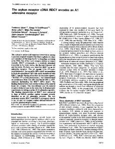 adenosine receptor - Europe PMC