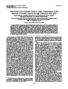 Adenovirus E1A activates cyclin A gene transcription in the absence of ...