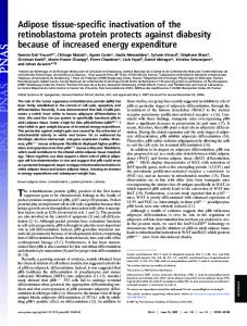 Adipose tissue-specific inactivation of the ... - Semantic Scholar