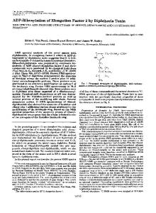 ADP-Ribosylation of Elongation Factor 2 by Diphtheria Toxin