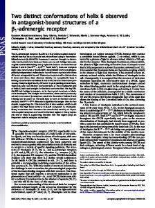 adrenergic receptor