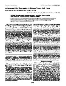 Adrenomedullin Expression in Human Tumor Cell Lines