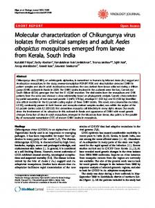 Aedes albopictus - BioMedSearch