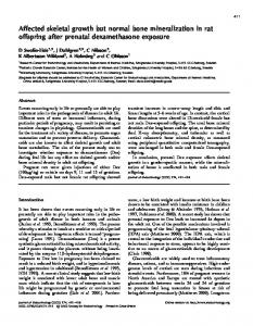 Affected skeletal growth but normal bone mineralization in rat offspring ...