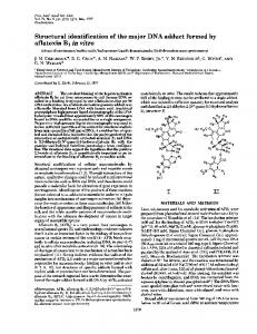 aflatoxin B1 in vitro