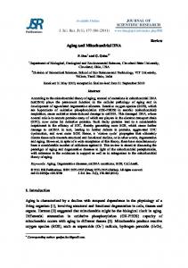 Aging and mitochondrial DNA