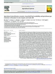 Agricultural intensification scenarios, household food