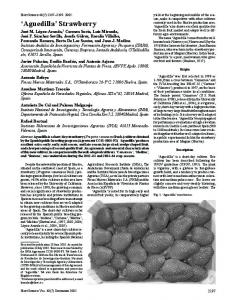 'Aguedilla' Strawberry - HortScience