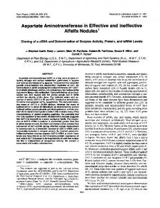 Alfalfa Nodules1 - NCBI