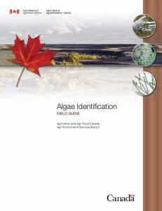 Algae Identification Field Guide
