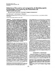 alkyltransferase gene - Europe PMC