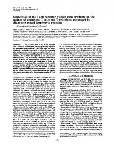 allogeneic mixed lymphocyte reaction - Europe PMC