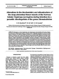 Alterations in the biochemistry and ultrastructure of the deep ...