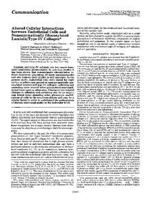 Altered cellular interactions between endothelial cells and ...