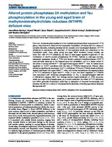 Altered protein phosphatase 2A methylation and ... - Semantic Scholar