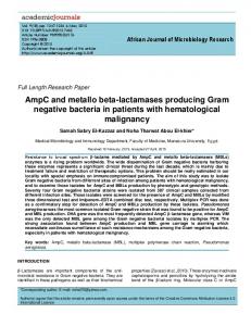 AmpC and metallo beta-lactamases producing Gram negative bacteria ...