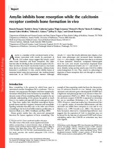 Amylin inhibits bone resorption while the calcitonin ... - CiteSeerX