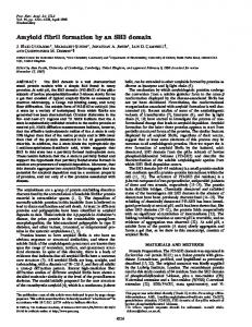 Amyloid fibril formation by an SH3 domain - Proceedings of the ...