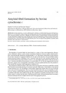 Amyloid fibril formation by bovine cytochrome c - Hindawi