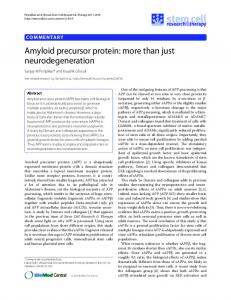 Amyloid precursor protein: more than just ... - BioMedSearch