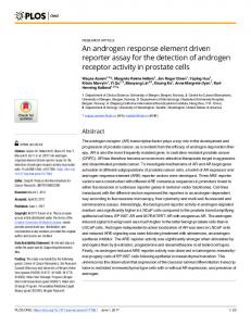 An androgen response element driven reporter