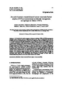 An anti-human recombinant tumor necrosis factor