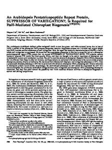 An Arabidopsis Pentatricopeptide Repeat Protein ... - BioMedSearch