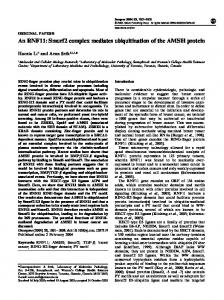 An RNF11: Smurf2 complex mediates ubiquitination of the ... - Nature