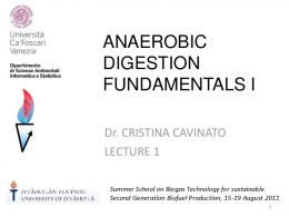 anaerobic digestion fundamentals