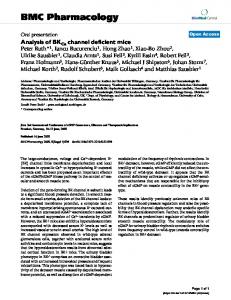 Analysis of BK Ca channel deficient mice