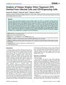 Analysis of Herpes Simplex Virion Tegument ICP4