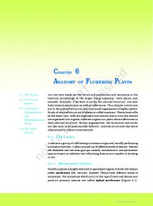 anatomy of flowering plants - ncert