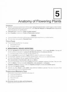 Anatomy of Flowering Plants