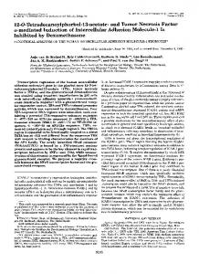 and Tumor Necrosis Factor a-mediated Induction of Intercellular ...