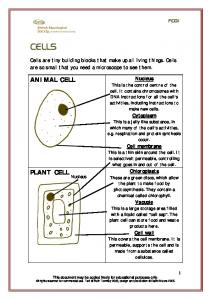 ANIMAL CELL PLANT CELL - fungi4schools