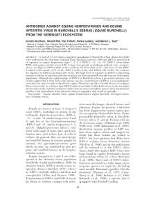 antibodies against equine herpesviruses and equine arteritis ... - BioOne