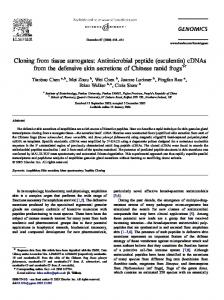 Antimicrobial peptide (esculentin) - Core