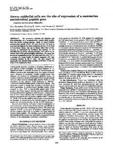 antimicrobial peptide gene