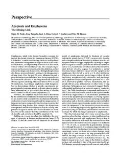 Apoptosis and Emphysema - ATS Journals